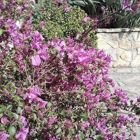 Villa Emma I Lecci Quiesa Εξωτερικό φωτογραφία