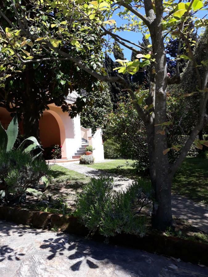 Villa Emma I Lecci Quiesa Εξωτερικό φωτογραφία